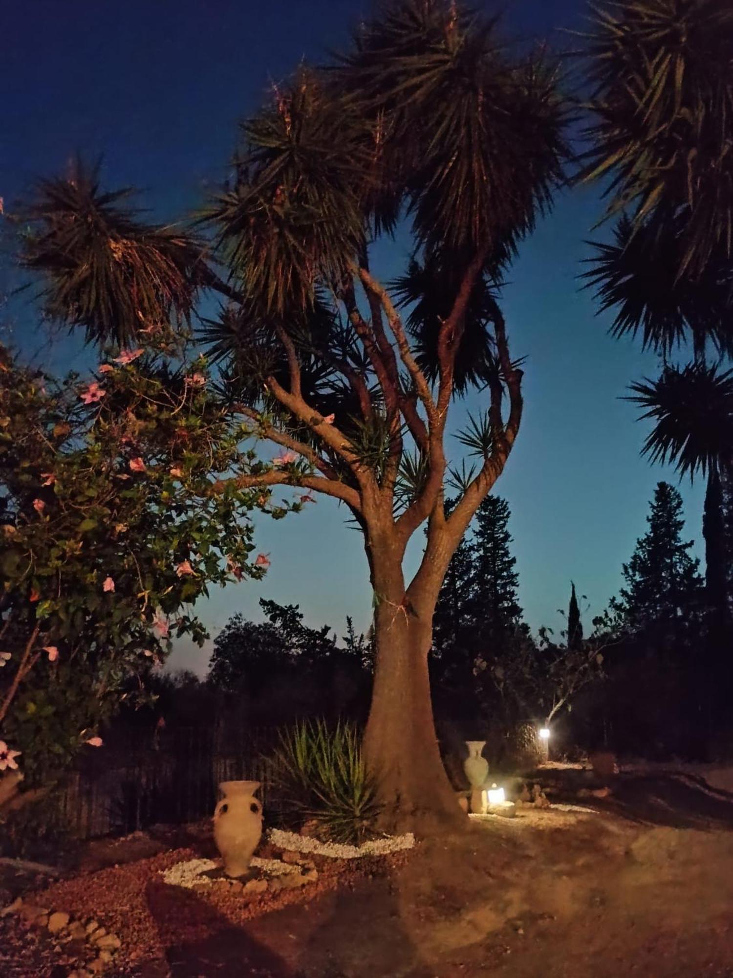 La Villa Di Minerva Agrigento Kültér fotó